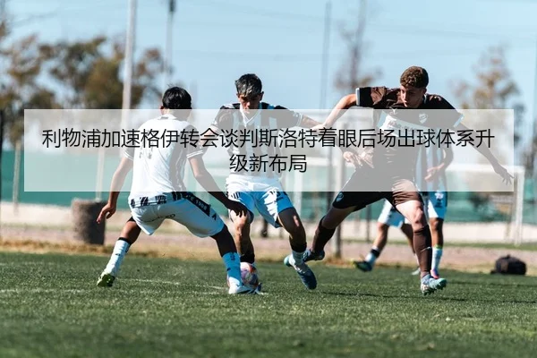 img_1784029396388_64_1_942.jpg